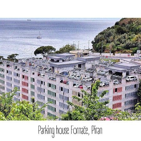 Green Oasis Family Apartments Piran Exteriör bild