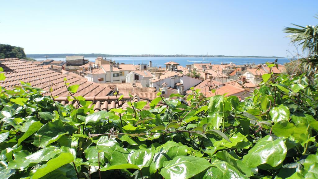 Green Oasis Family Apartments Piran Rum bild