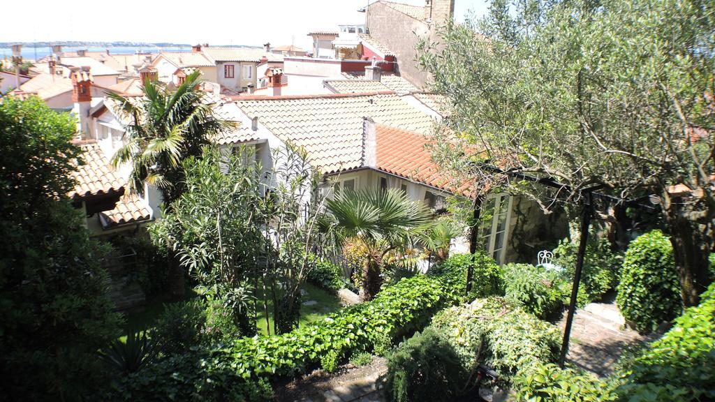 Green Oasis Family Apartments Piran Rum bild